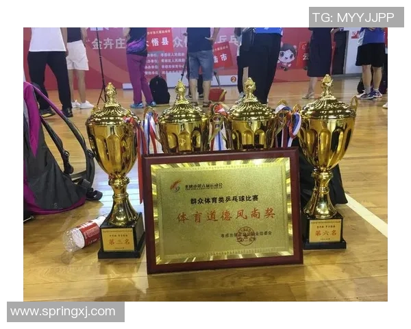 武汉乒乓球队的节奏揭秘:乒乓球背后的故事与激情