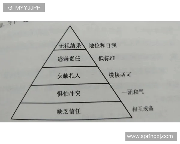 杭州足球队在世锦赛中的团队协作表现分析与点评