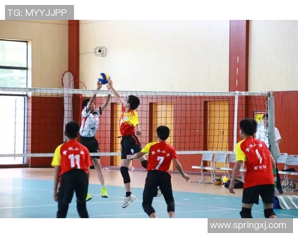 重庆排球队的精神探索与排球文化的深度解读 重庆排球队的精神探索与排球文化的深度解读