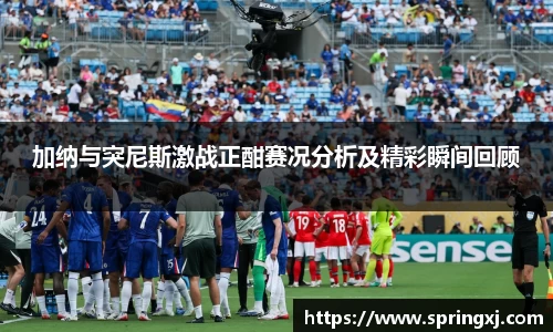 加纳与突尼斯激战正酣赛况分析及精彩瞬间回顾