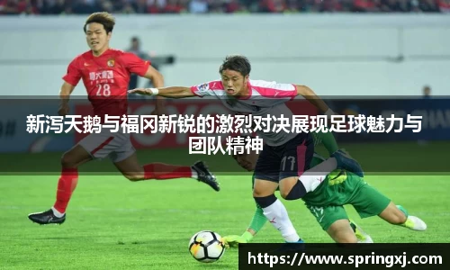 新泻天鹅与福冈新锐的激烈对决展现足球魅力与团队精神