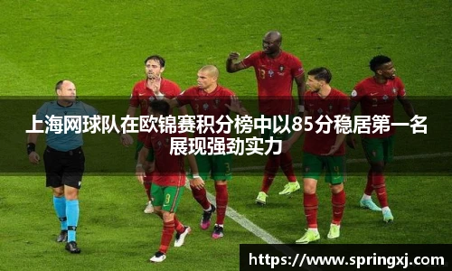 上海网球队在欧锦赛积分榜中以85分稳居第一名展现强劲实力